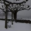 DSC_0542-Copier-