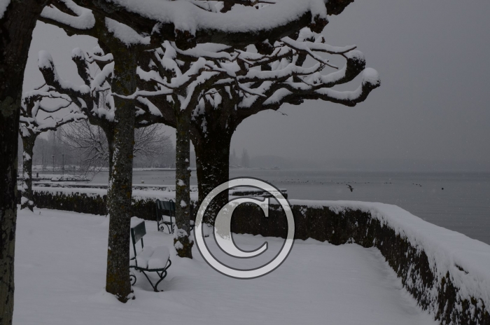 DSC_0542-Copier-