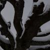 DSC_0543-Copier-