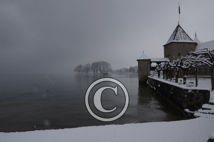 DSC_0551-Copier-