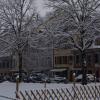 DSC_0555-Copier-