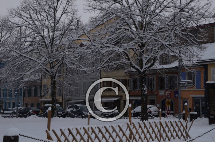 DSC_0555-Copier-