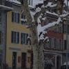 DSC_0556-Copier-