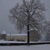 DSC_0557-Copier-