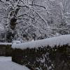 DSC_0561-Copier-