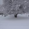 DSC_0562-Copier-
