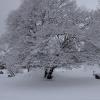 DSC_0563-Copier-
