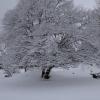 DSC_0564-Copier-