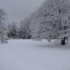 DSC_0566-Copier-