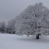 DSC_0567-Copier-