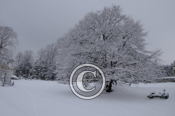 DSC_0567-Copier-