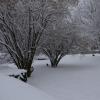 DSC_0568-Copier-
