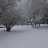 DSC_0569-Copier-