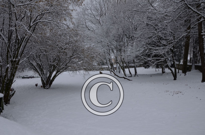 DSC_0569-Copier-