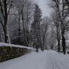 DSC_0570-Copier-