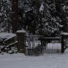 DSC_0573-Copier-