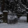 DSC_0574-Copier-