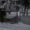 DSC_0575-Copier-