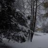 DSC_0580-Copier-