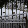 DSC_0582-Copier-