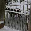 DSC_0585-Copier-