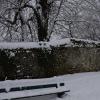 DSC_0587-Copier-