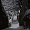 DSC_0589-Copier-