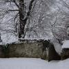 DSC_0590-Copier-