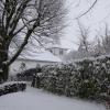 DSC_0592-Copier-