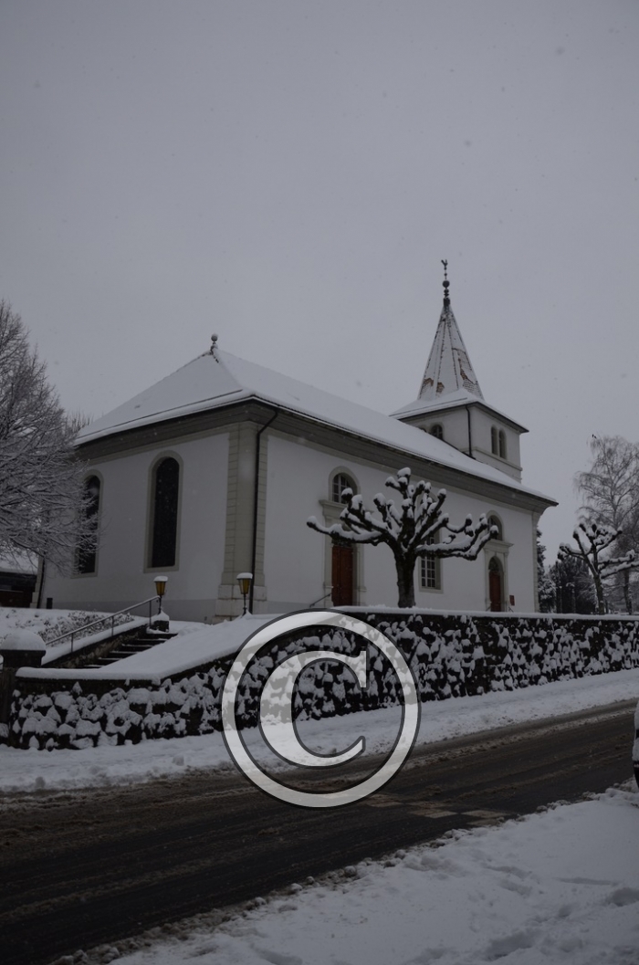 DSC_0596-Copier-