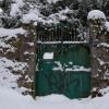 DSC_0597-Copier-