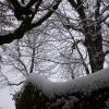 DSC_0600-Copier-