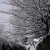 DSC_0601-Copier-