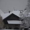DSC_0605-Copier-