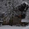 DSC_0606-Copier-