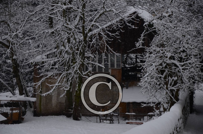DSC_0606-Copier-