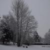 DSC_0609-Copier-