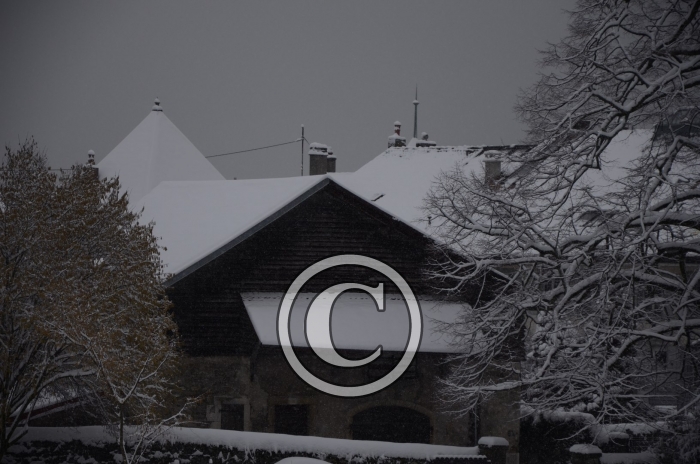 DSC_0610-Copier-