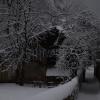 DSC_0611-Copier-