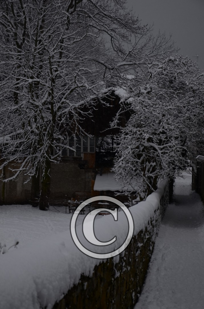 DSC_0611-Copier-