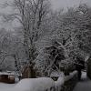 DSC_0615-Copier-