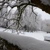 DSC_0616-Copier-