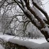 DSC_0617-Copier-