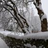 DSC_0618-Copier-