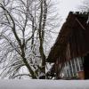 DSC_0619-Copier-