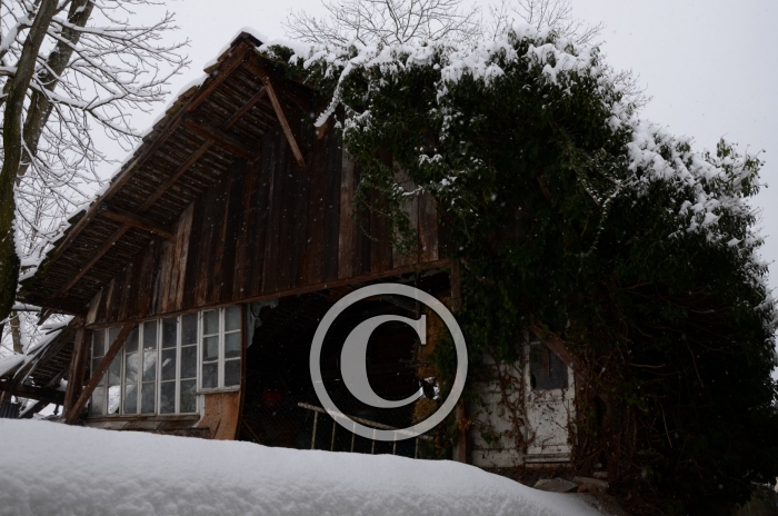DSC_0620-Copier-
