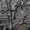 DSC_0623-Copier-