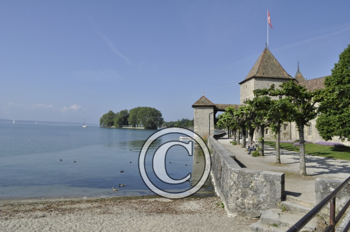 _DSC0011-Copier-
