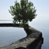 _DSC0023-Copier-