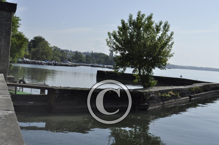 _DSC0024-Copier-